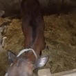 zdjęcie nr 
