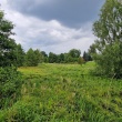 zdjęcie nr 