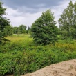 zdjęcie nr 
