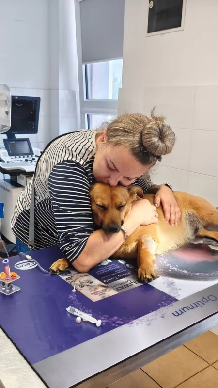 Walczyła o niego dwa razy, trzy lata temu uratowała mu życie. Tym razem zabrakło leku, który mógł ocalić Jasia
