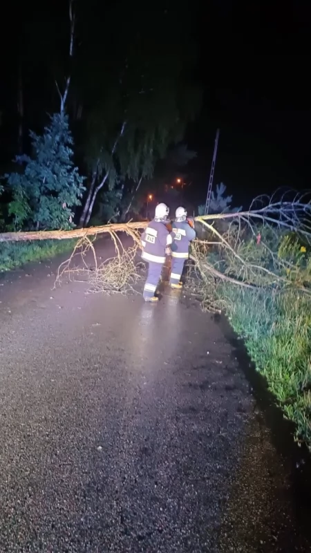 Noc pełna pracy dla strażaków. Powalone drzewa i zalane posesje po burzy