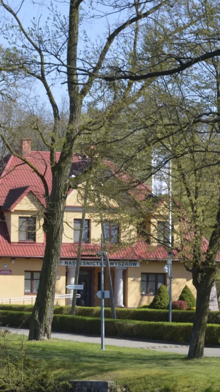 Po nawałnicy zamykają część lasów. Nadleśnictwo wprowadziło całkowity zakaz wstępu