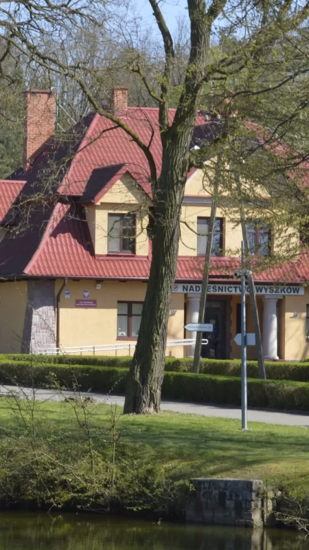 Zakaz wstępu do lasu przedłużony. Nadleśnictwo ostrzega przed niebezpieczeństwem