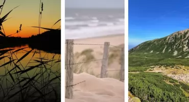 Morze, góry czy Mazury? Gdzie chętnie spędzicie koniec wakacji? - SONDA