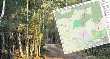 Zakaz wstępu do części lasów w gminie Wyszków