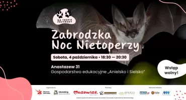 Na tropie przyrody. Zabrodzka Noc Nietoperzy już 4 października