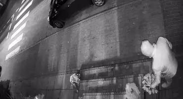 Miłość warta kradzieży? Pokaźny bukiet zniknął [WIDEO]