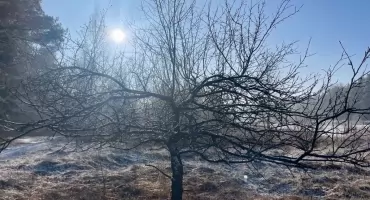 Fala zimna nadciąga do Polski. Temperatury spadną nawet do -10°C 