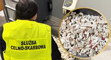 KAS zatrzymała 5 kg rafy koralowej z Seszeli na warszawskim lotnisku
