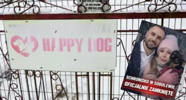 Psy z Sobolewa były bite do krwi. Nowi właściciele sobie z nimi nie radzą 