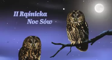 II Rząśnicka Noc Sów już 7 marca. W programie gra terenowa, prelekcja i nocne poszukiwania
