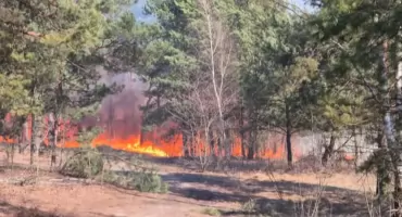 Wielki pożar lasu i łąk. W gaszeniu brało udział ponad 100 strażaków