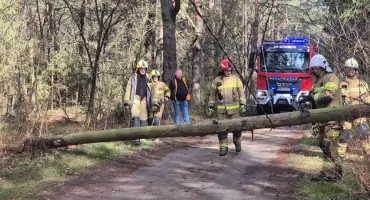 Wichura uderzyła w powiat wyszkowski. Mamy szczegółowe dane straży 