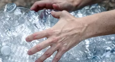 System kaucyjny w Polsce jako źródło zarobku? Tyle otrzymał rekordzista 