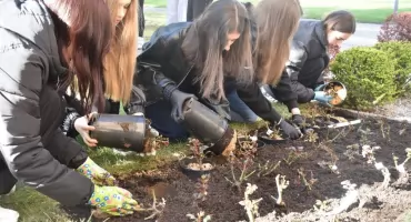 Róże zamiast pomników. Uczcili Różyckiego w symboliczny sposób 