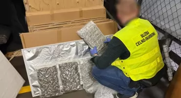 KAS udaremniła przemyt 90 kg marihuany. Narkotyki były w panelach ledowych