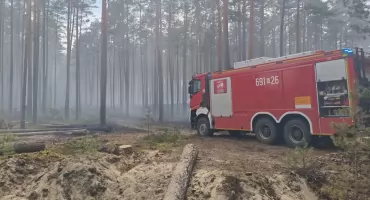 Strażacy z Wyszkowa walczą z pożarem lasu pod Biłgorajem [zdjęcia]