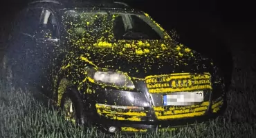 Zgłosiła kradzież Audi. Policja odkryła zaskakującą prawdę