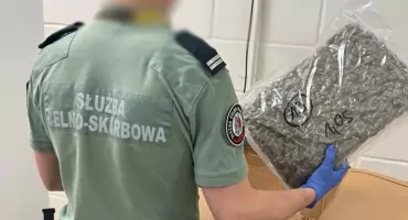 KAS udaremniła przemyt 27 kg marihuany w przesyłkach