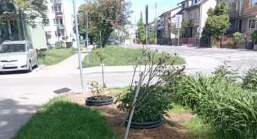 „Wszystko zniszczone, popalone”. Kto zdewastował skwerek pielęgnowany od siedmiu lat? 