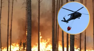 Sytuacja jest groźna. Wielki pożar lasów niedaleko Wyszkowa [FOTO]