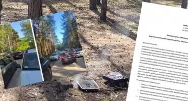 Alarm mieszkańców. Boją się o las nad Liwcem: „To kwestia czasu”