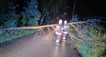Noc pełna pracy dla strażaków. Powalone drzewa i zalane posesje po burzy