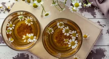 Co daje picie rumianku na noc? Są trzy korzyści. Dietetyk: najlepszy napój po kolacji 