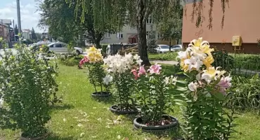 „Wezwanie ostateczne”. Spółdzielnia stawia mieszkańcowi ultimatum