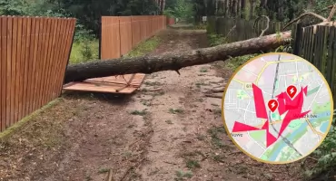 Potężna awaria po nocnej burzy. 33 zgłoszenia do strażaków, część mieszkańców nadal bez prądu