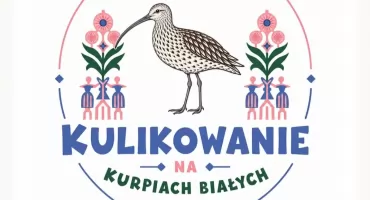 Pierwsze Kulikowanie na Kurpiach Białych. Wólka Lubielska zaprasza!