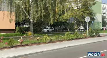 Koniec sporu o skwerek przy 1 Maja? Rośliny przesadzono. Zrealizowano pomysł burmistrza [FOTO]